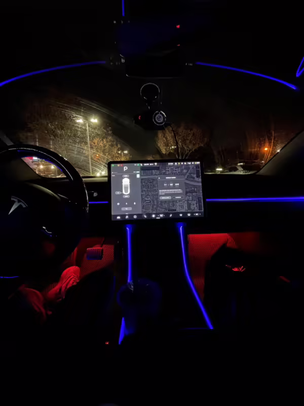 2019 Tesla Model 3 Performance — photo 35