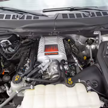 2023 Ford F-150 Raptor R — photo 10