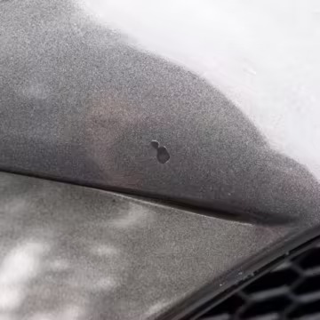 2018 Ford Mustang GT Coupe Premium — photo 26