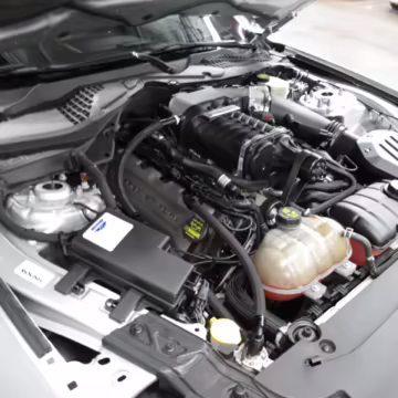2015 Ford Mustang GT Roush Stage 2 — photo 116